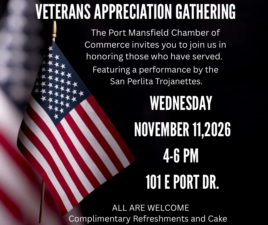 Black and White Veterans Day Instagram Post
